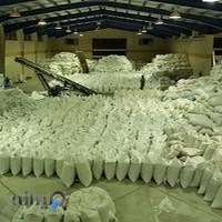 Morvarid Sabz Kavir (MSK). Co