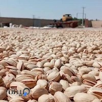 اکبر جوجه برداران کلبادی شعبه اصلی