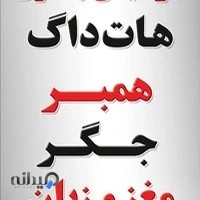 ساندویچ دلوسه