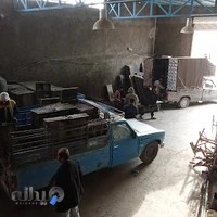 اجاره ابزار الات شاهکرمی