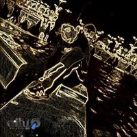 زیتون کامپیوتر