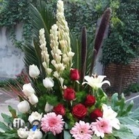 گلفروشی پرنده بهشتی ( مهدی برزگر)