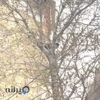 بوتیک یازده