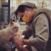 کلینیک حیوانات خانگی دکتر عبدی