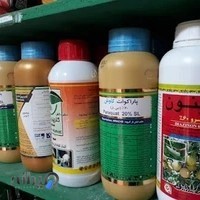 داروخانه گیاهپزشکی شاهرود