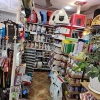 پتشاپ پلوتو