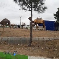 مجتمع تجاری اداری کیان شاهرود