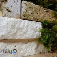 چلو کبابی پدیده