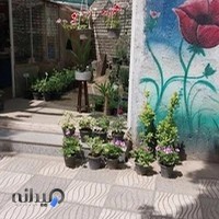 گل و گیاه کاکتوس