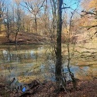 مرکز دوچرخه عامری