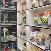 پت شاپ ۲۰ طوطی