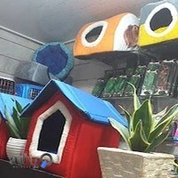 آکوآ پت شاپ آریا Aria pet shop