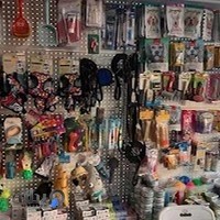 پت شاپ دنیز خیابان اسکندری شمالی