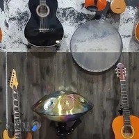 گالری موسیقی ویانا