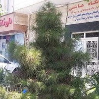 داروخانه دکتر مهری زاد