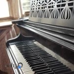 آموزشگاه موسیقی دیبا