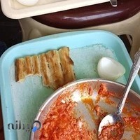 دیزی سرای ناطق