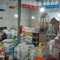 دان پرنده و پت شاپ خلج