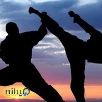 باشگاه رزمی کونگ فو عباس زالی