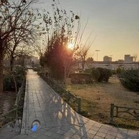 بوستان مترو علی آباد