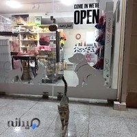 PetShop پت‌شاپ سلامت‌یار