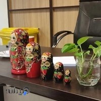 دکتر مهدی اکبرنژاد