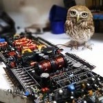 تعميرات آرشام