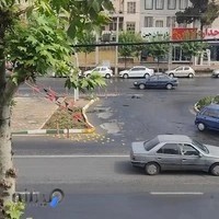 کلینیک دامپزشکی آوین