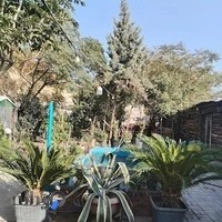 باغچه رستوران کلبه