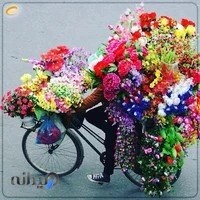 فروشگاه استند گل ایران دکور