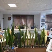 گروه شرکت های جهانبان