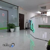 دکتر الهه لطفی