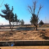 املاک عیوضی