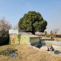 دانشگاه علمی کاربردی ایران خودرو