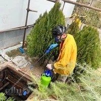 شرکت تخصصی سمپاشی زرین پیشتازان آران