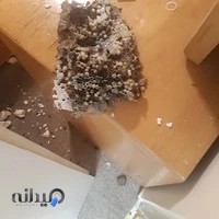 شرکت سمپاشی پگاه غرب شعبه اسلامشهر