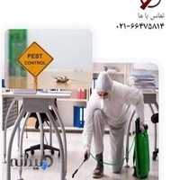 شرکت سمپاشی ایرانیان