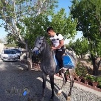 سوارکاری نامدارشاه