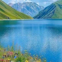 دکتر سید مهدی موسوی موحد