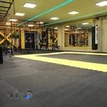 آکادمی نوین تن