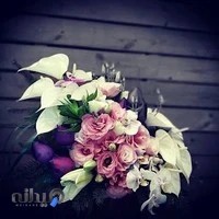 سوپر گل قاصدک