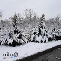 چاپخانه سروش