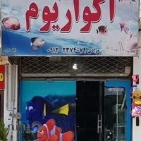 آکواریوم آرام