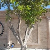 گاراژ فرزاد