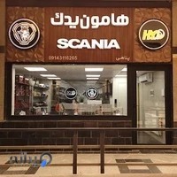 هامون یدک ( پناهی صوفیانی )