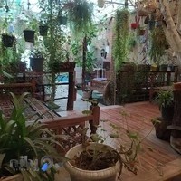 نون و ریحون