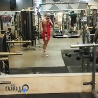 امین فیتنس آرت