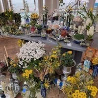 شیرینی شاتوت