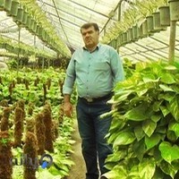 گلستان شریف