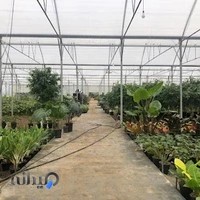 گلخانه رُزا(حجتی)